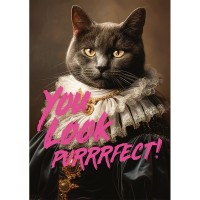 Puzzle 1000 pièces - You Look Purrrfect !
