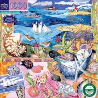 Puzzle 1000 pièces - Seashells by the Shore