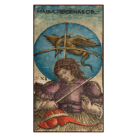 Mini Tarot Sola Busca