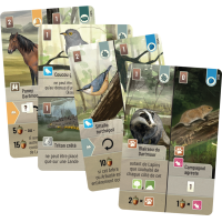 Forêt Mixte Dartmoor