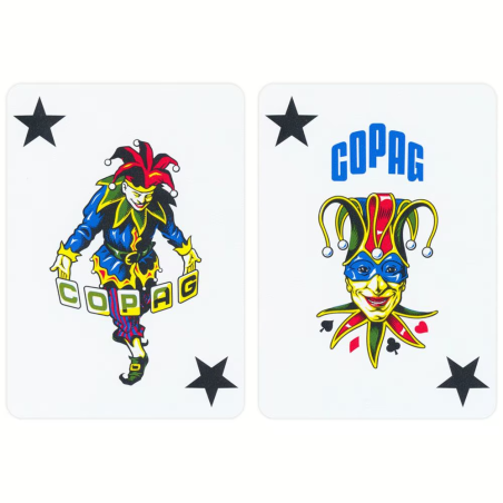 Cartes COPAG World Series Of Poker 100% Plastique