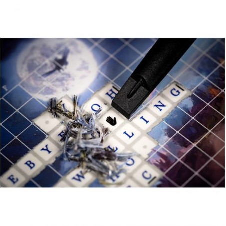 Once Upon a Line : Le Souffle du Papillon