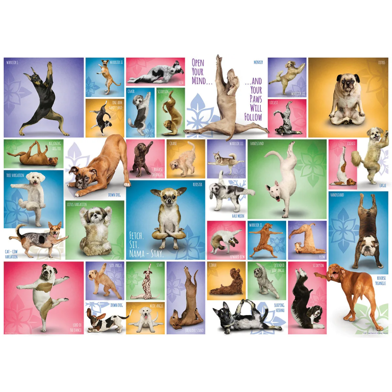 Puzzle 1000 pièces - Yoga Dogs