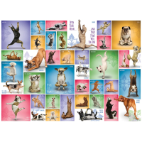 Puzzle 1000 pièces - Yoga Dogs