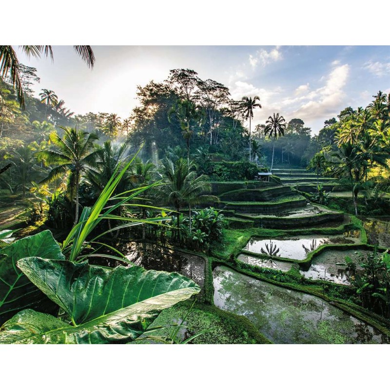 Puzzle 2000 pièces - Au Coeur de Bali