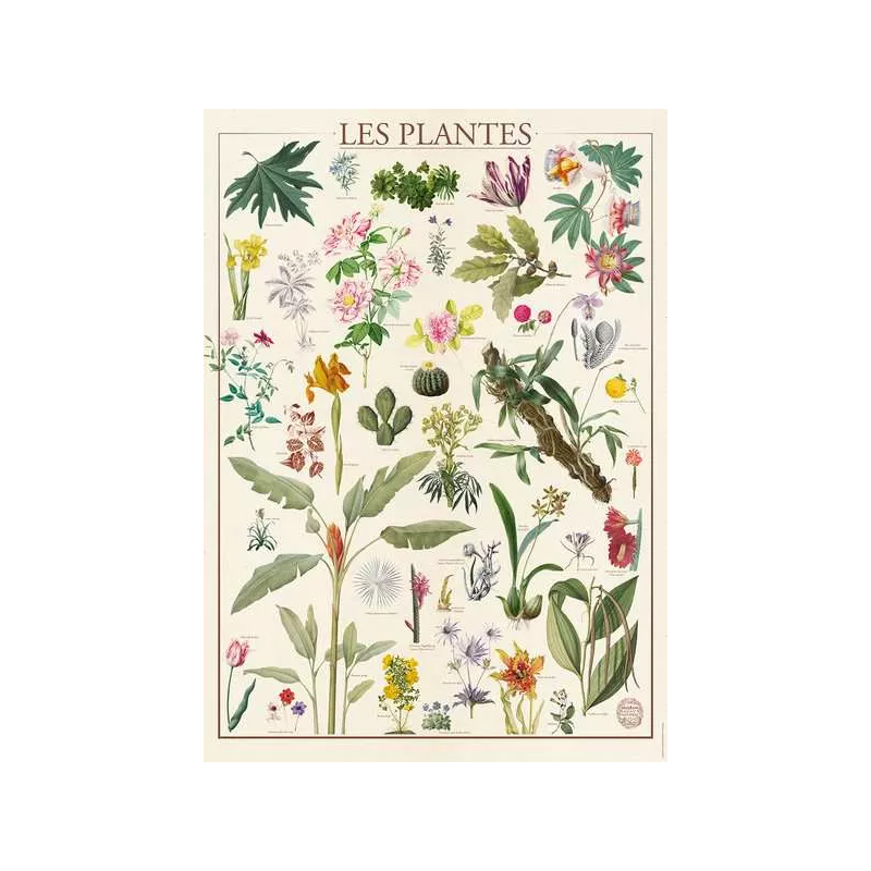 Puzzle 1500 pièces - Les plantes