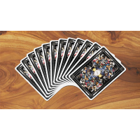 Cartes Bicycle Biker Cats