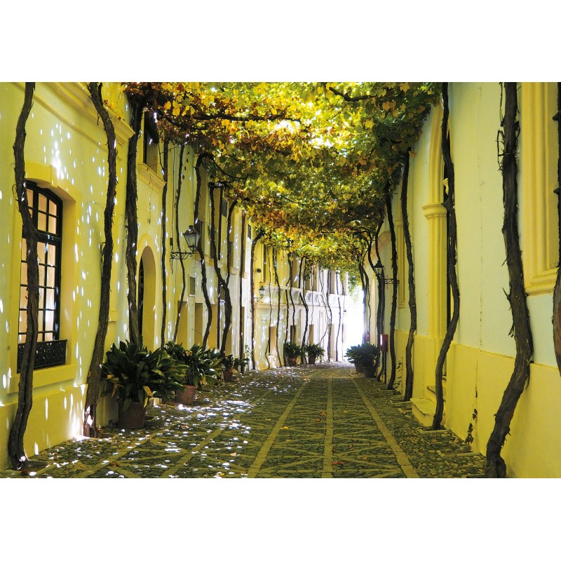 Puzzle 1000 pièces - Ruelle Andalouse