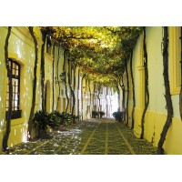 Puzzle 1000 pièces - Ruelle Andalouse