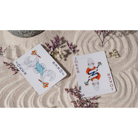 Cartes Bicycle Cycle of Venus