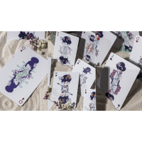 Cartes Bicycle Cycle of Venus