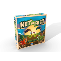 Not So Fast