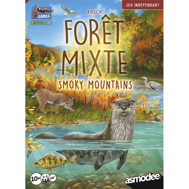 Forêt Mixte Smoky Mountains