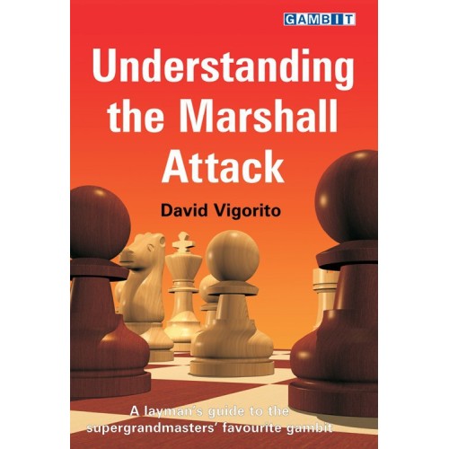 VIGORITO - Understanding the Marshall Attack