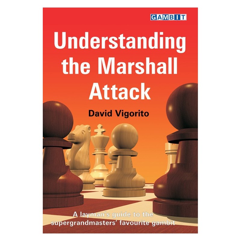 VIGORITO - Understanding the Marshall Attack