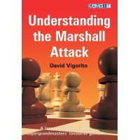 VIGORITO - Understanding the Marshall Attack