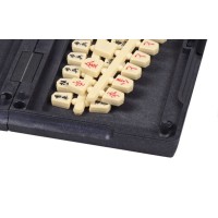Shogi magnétique, modèle économique