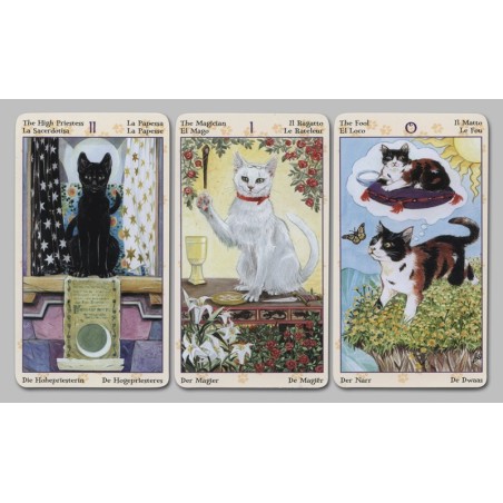 Tarot des chats païens