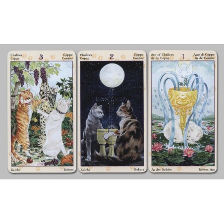 Tarot des chats païens