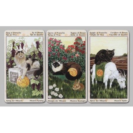 Tarot des chats païens